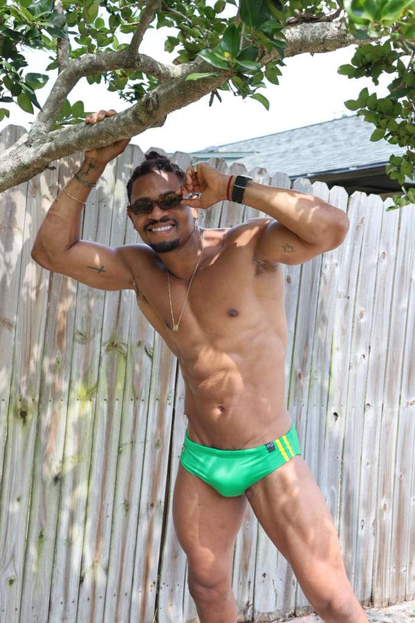 Brazil Print Standard Brief
