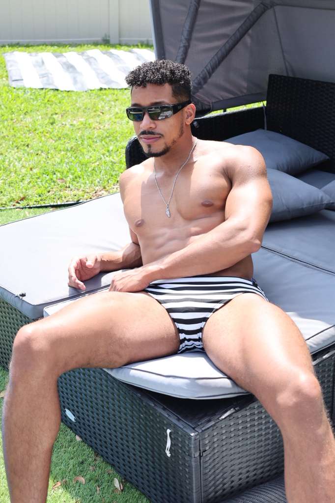 Striped Print Standard Brief
